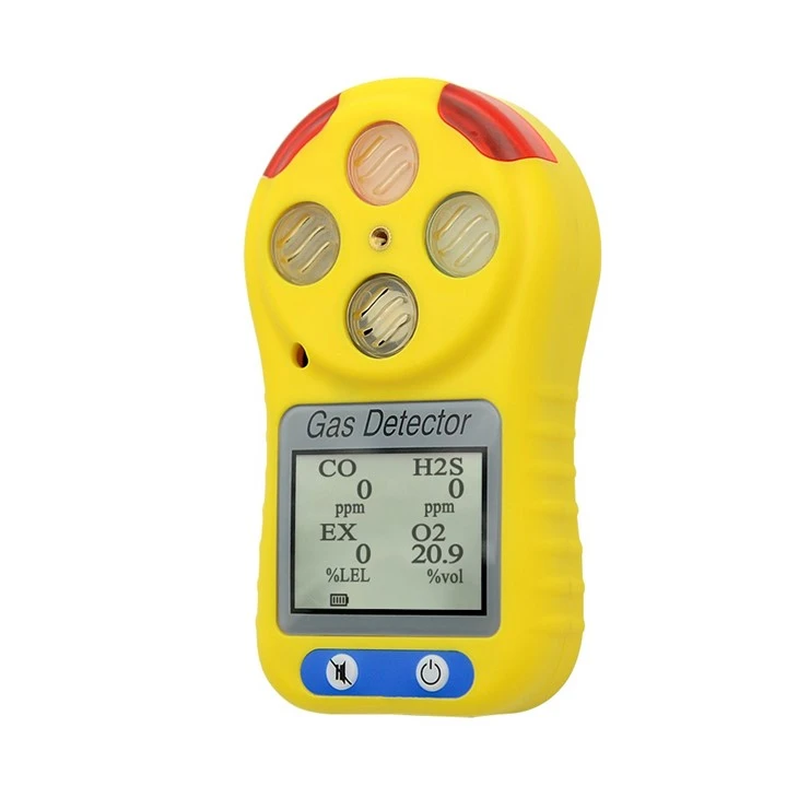 Multi Gas Meters