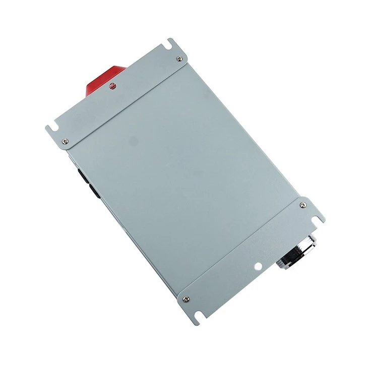 Two Gas Monitor